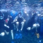 ss25 diving